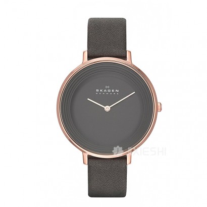 SKAGEN DENMARK ԊŮʿSKW2216 Ȿ...