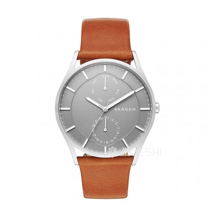 SKAGEN DENMARK ԊʯӢʿֱSKW6264 ...