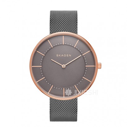 SKAGEN DENMARK Ԋ(sh)ʯӢŮʿֱSKW2584 Ȿԭ
