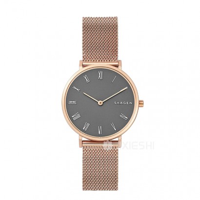 SKAGEN DENMARK Ԋ(sh)ʯӢŮʿֱSKW2675 Ȿԭ