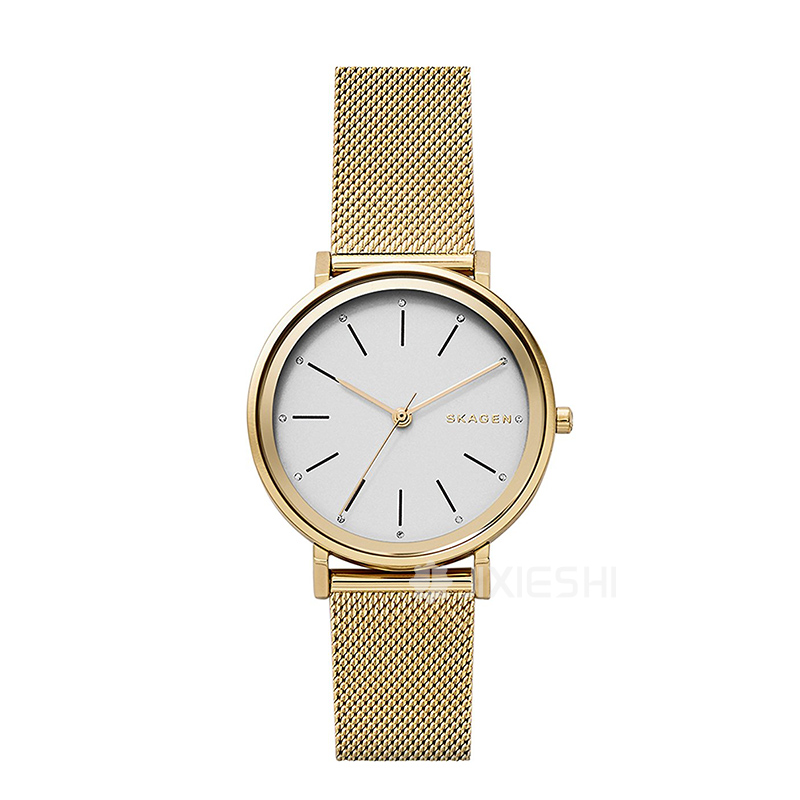SKAGEN DENMARK ԊʯӢŮʿֱSKW2509 ...