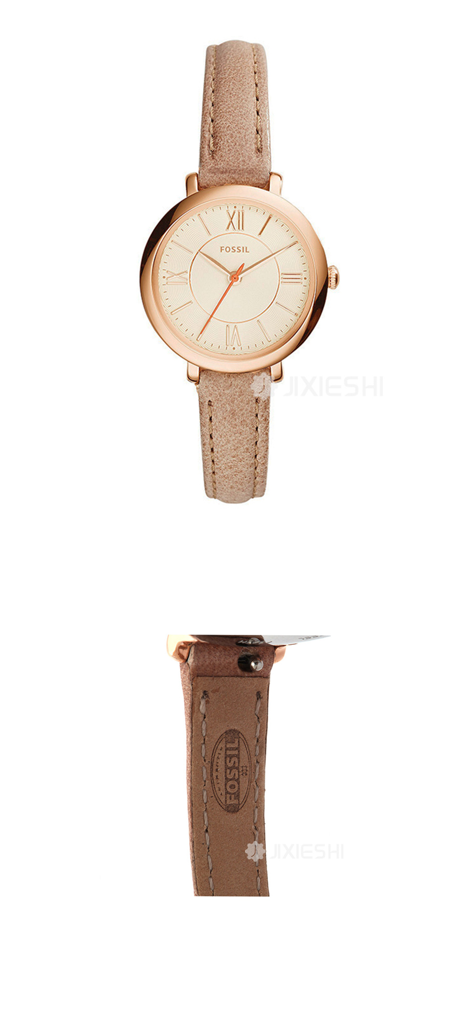 FOSSIL (gu)FOSSILŮʿֱES3802 Ȿԭ