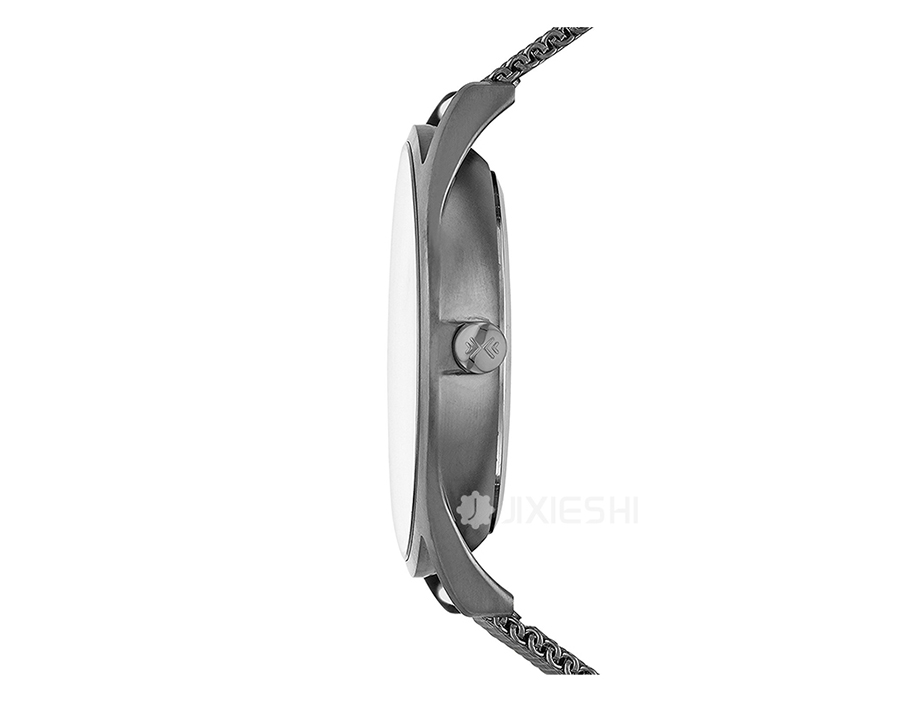 SKAGEN DENMARK Ԋ(sh)ʯӢʿֱSKW6180 Ȿԭ
