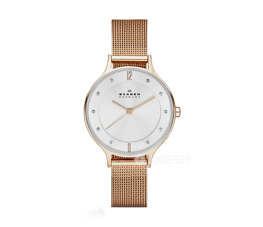 SKAGEN DENMARK Ԋ(sh)ʯӢŮʿֱSKW2151 Ȿԭ