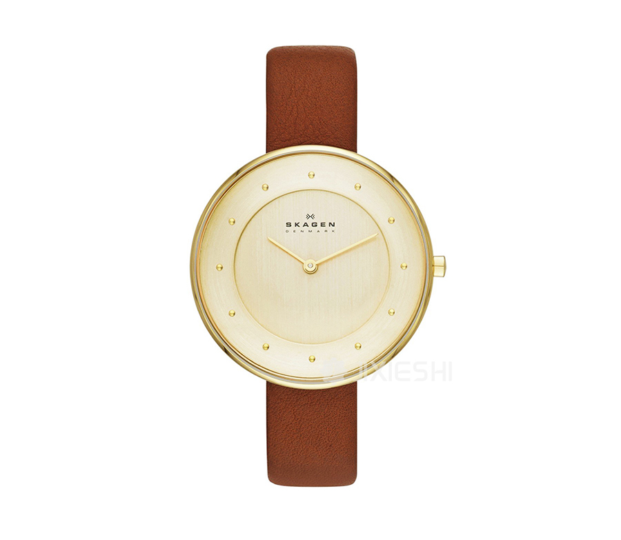 SKAGEN DENMARK Ԋ(sh)ʯӢŮʿֱSKW2138 Ȿԭ
