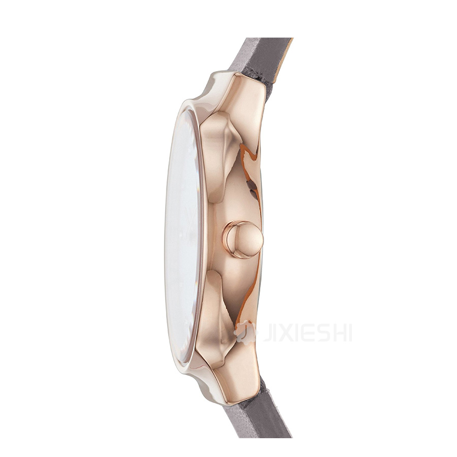 SKAGEN DENMARK Ԋ(sh)ʯӢŮʿֱSKW2669 Ȿԭ