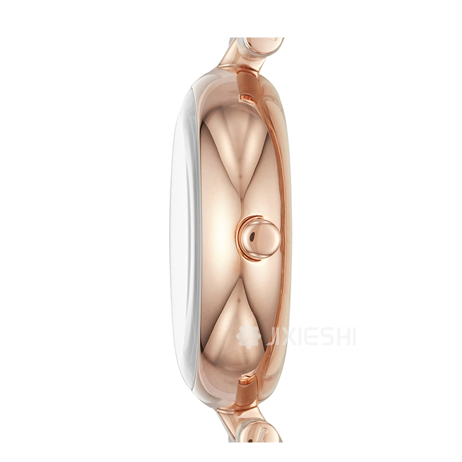 SKAGEN DENMARK ԊʯӢŮʿֱSKW2643 Ȿԭ