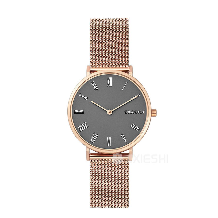SKAGEN DENMARK Ԋ(sh)ʯӢŮʿֱSKW2675 Ȿԭ