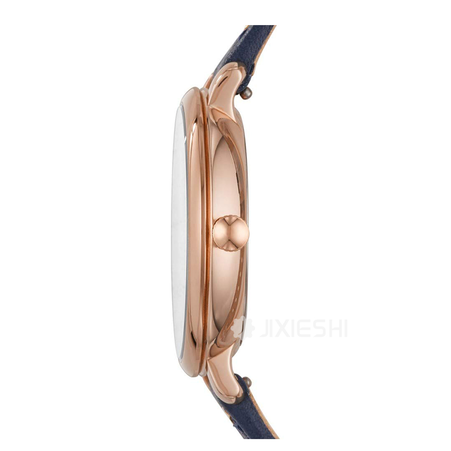 FOSSIL (gu)FOSSILŮʿʯӢES4521 Ȿԭ